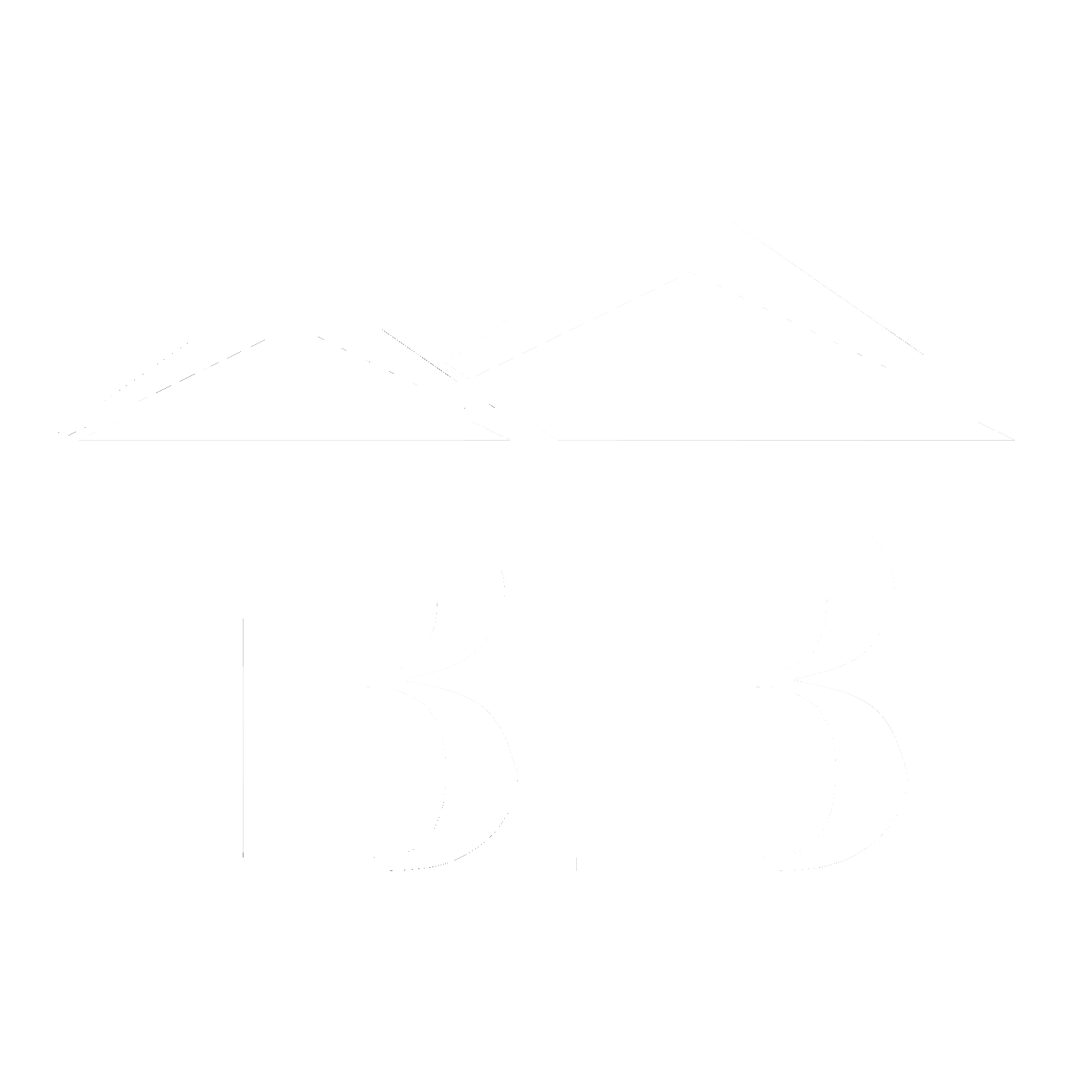 bonafidebrokerage.com favicon